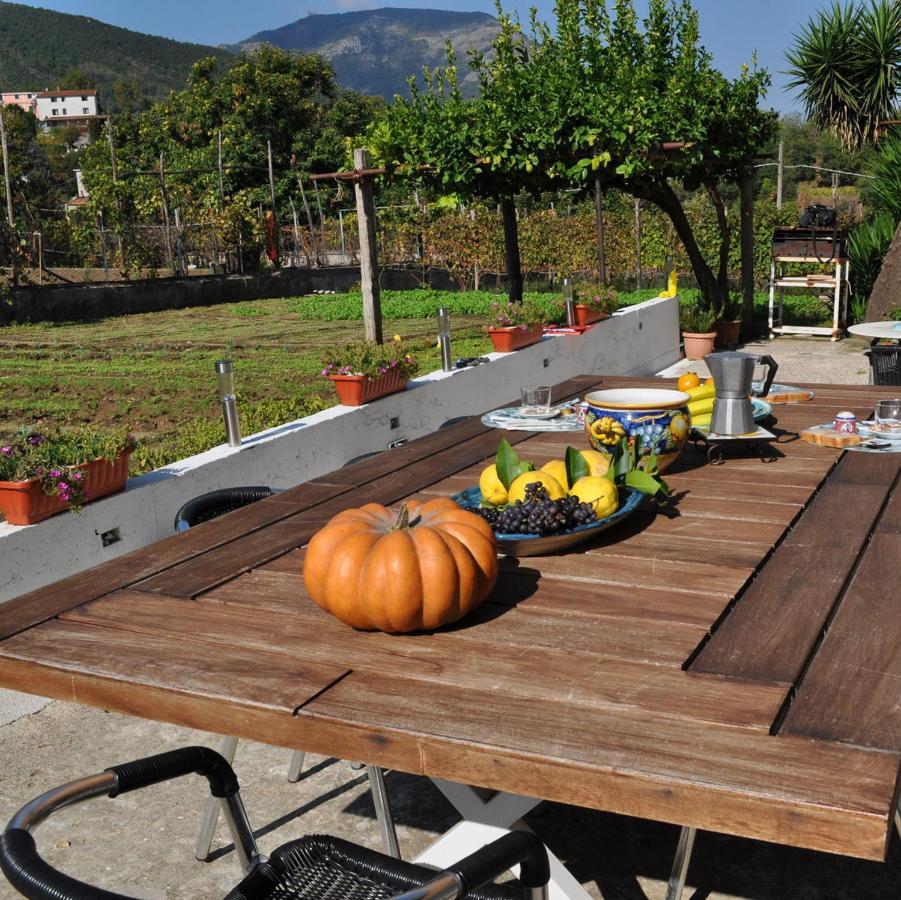 Contrada Vigna Bed & Breakfast Vietri Bagian luar foto